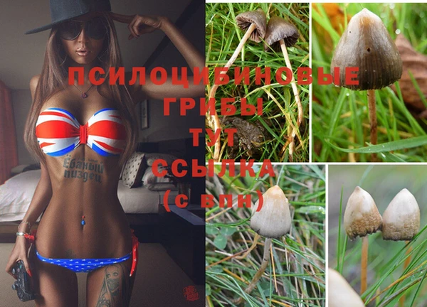 кокаин Новозыбков